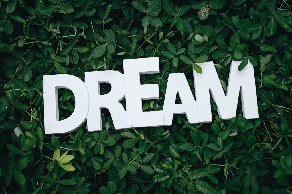 BEST 13 FOLLOW YOUR DREAM QUOTES