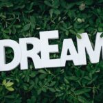 BEST 13 FOLLOW YOUR DREAM QUOTES